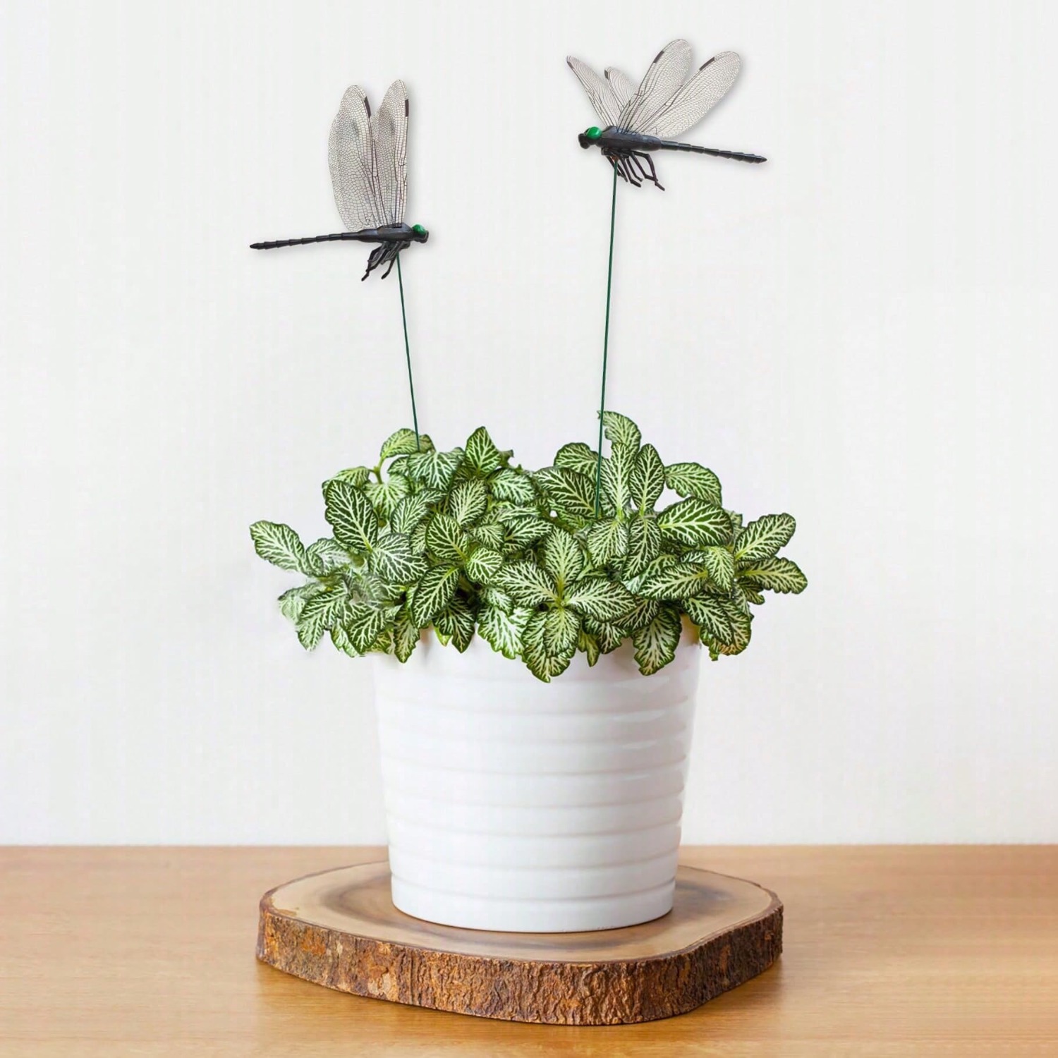 10 szt. Dekoracyjne ważki, rea – 3D Printing Vase recenzja i cena